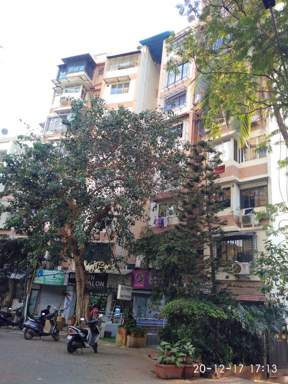 Main - New Jaldarshan, Bandra West